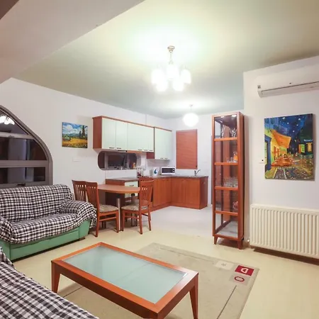 New Loft 303 拉纳卡